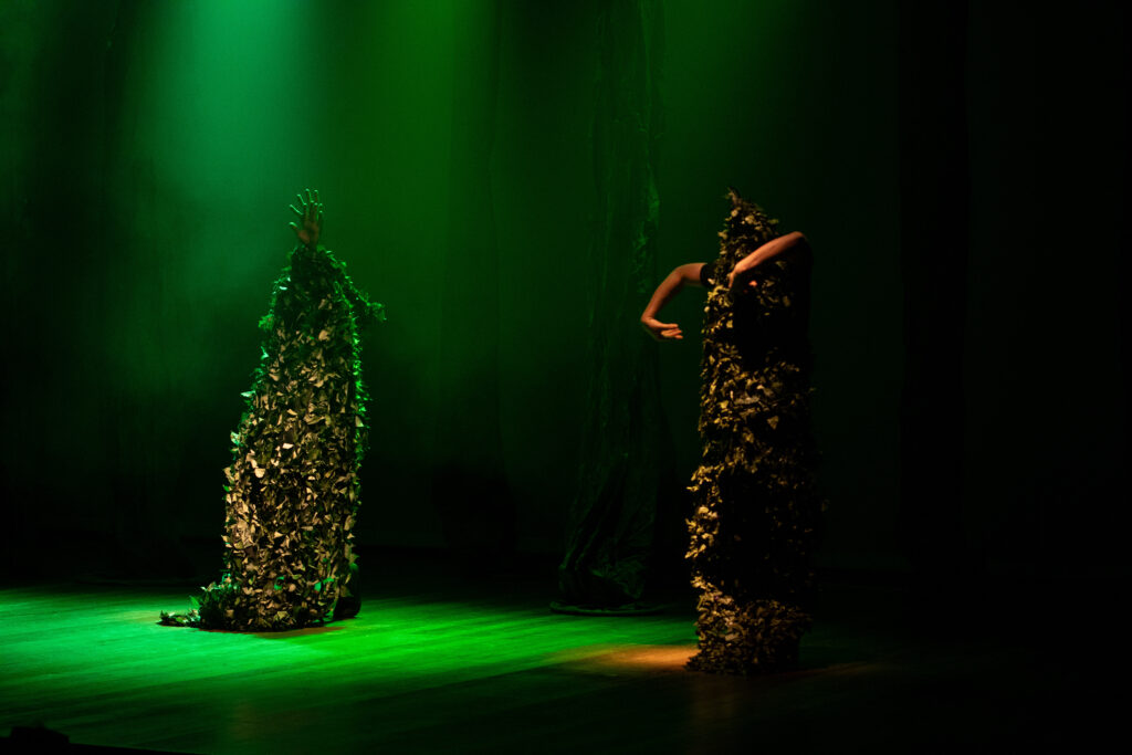 021124_amazonia_chc_lauratesta-245
