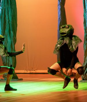 021124_amazonia_chc_lauratesta-203