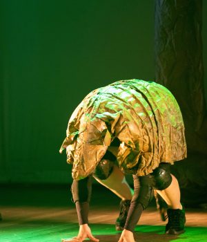 021124_amazonia_chc_lauratesta-234