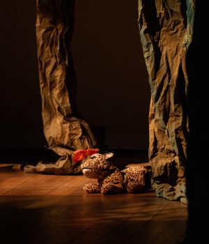 021124_amazonia_chc_lauratesta-237